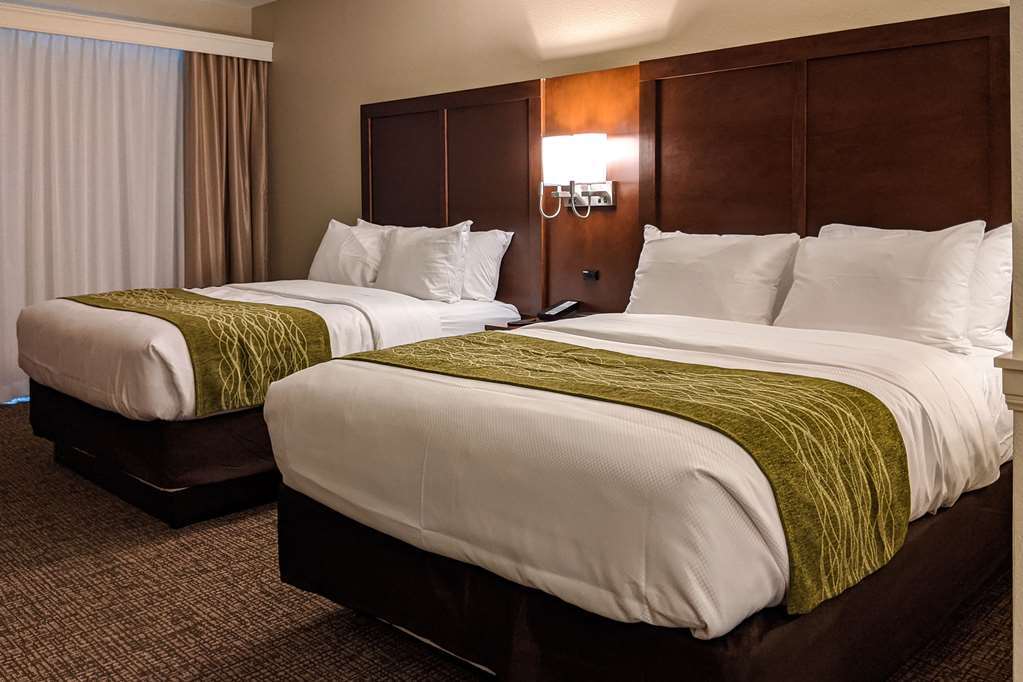 Comfort Suites San Antonio Ft Sam Houston-Sammc Area Room photo